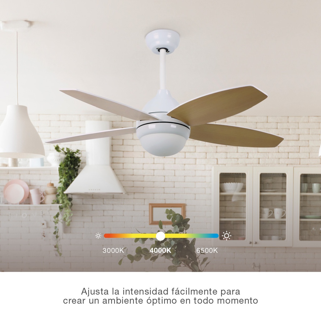 Ventilador techo Muna con luz CCT regulable y mando Ø106 4 aspas Blanco