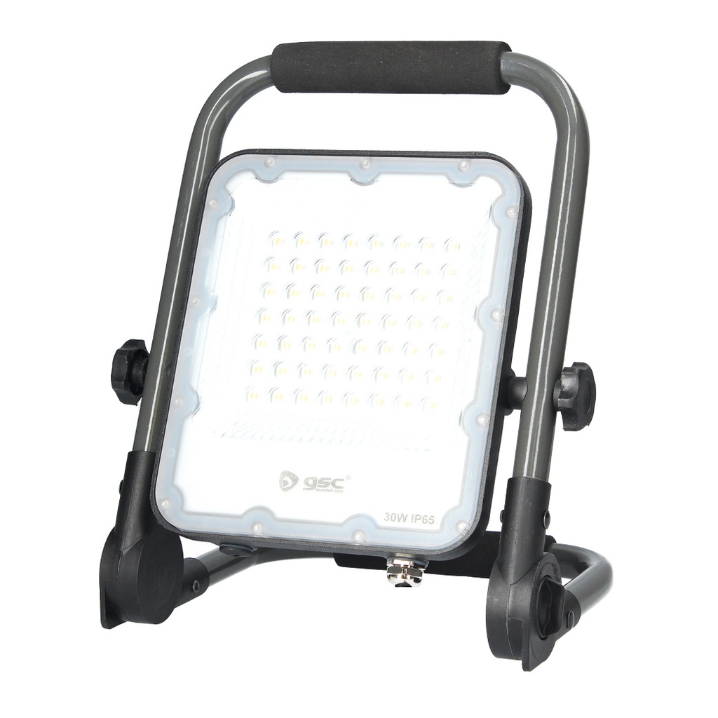 Proyector aluminio LED con soporte móvil 30W 6500K IP65 Gris