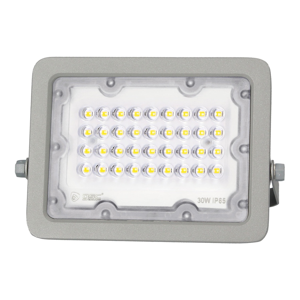 Proyector aluminio LED 30W 6500K IP65 Gris