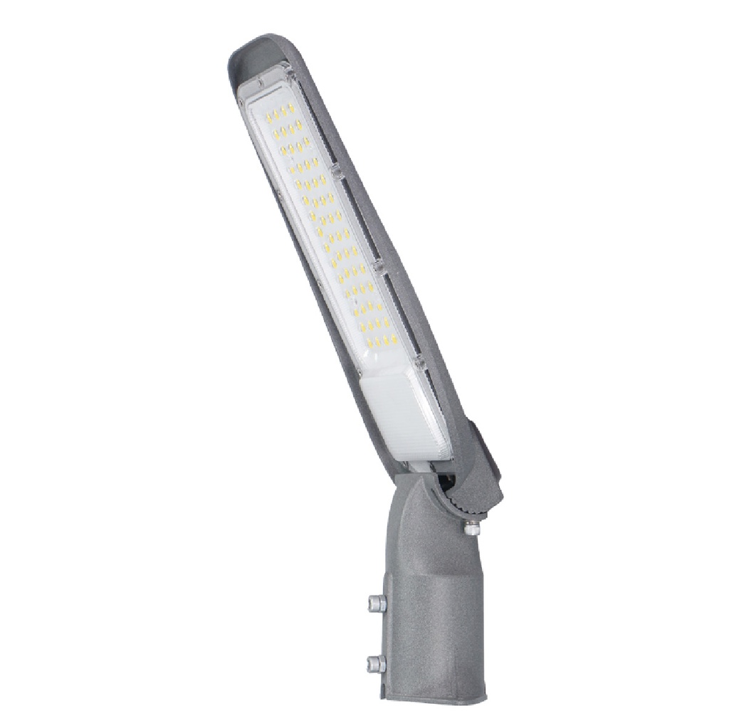 Farola LED Bagura 100W 5000K IP65 - Pro Line