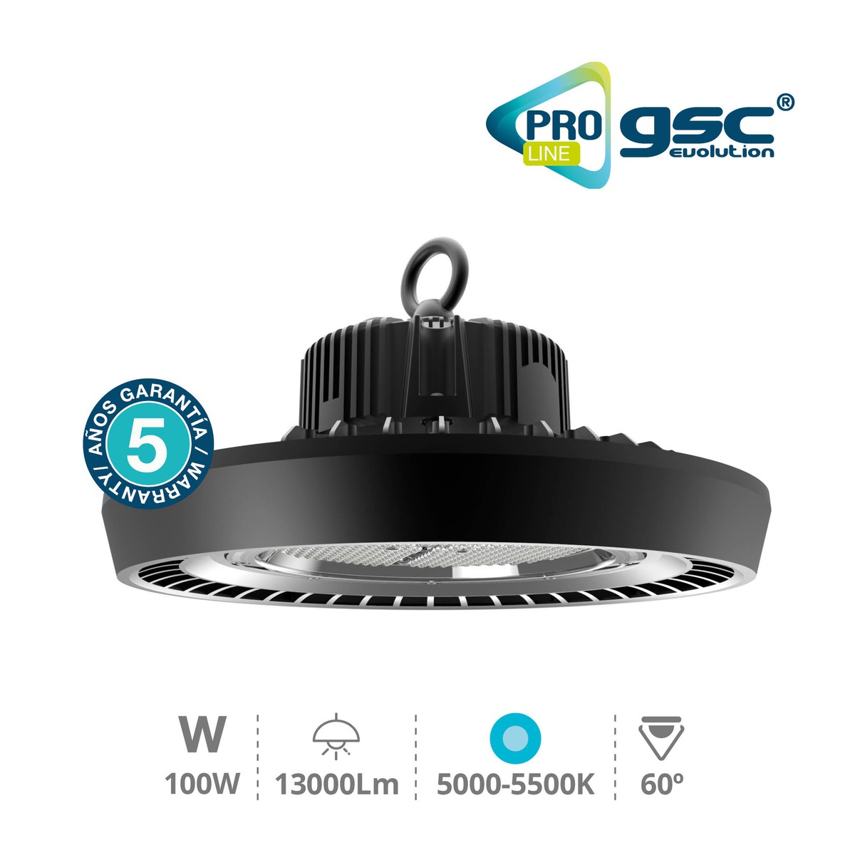 Charlotte LED highbay 100W 60º 5000-5500K IP65