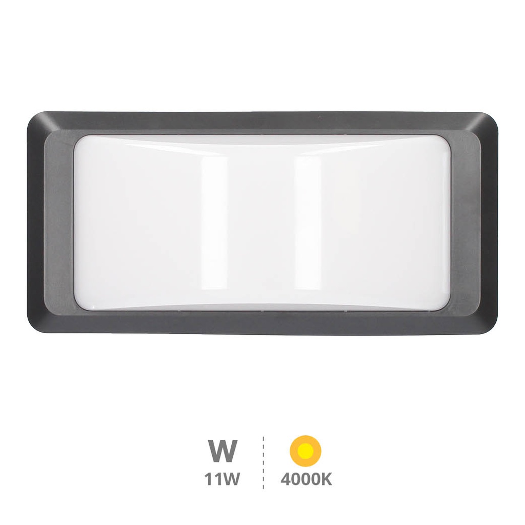 Anthe LED wall sconce 11W 4000K IP65 Anthracite gray