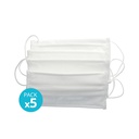 5pcs pack washable hygienic mask