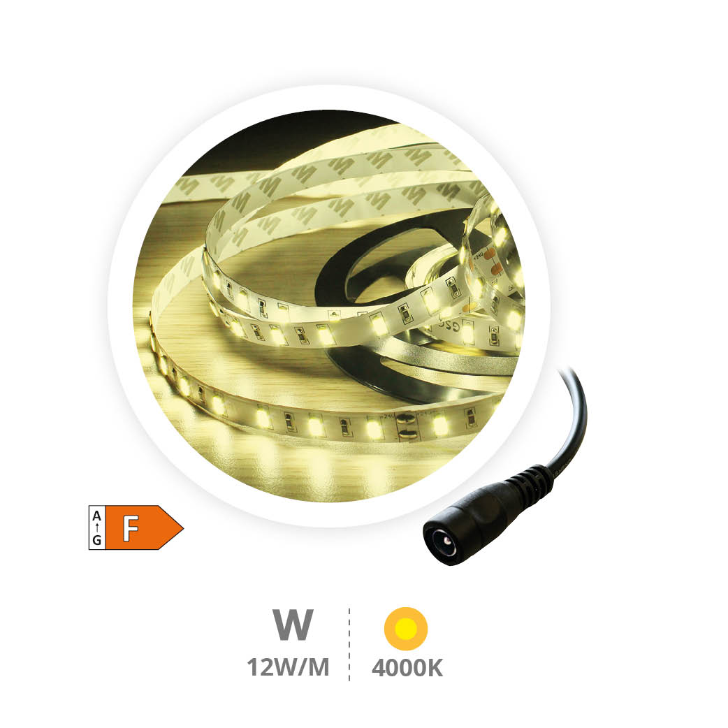 5M 12W/M LED strip 4000-4500K IP20 24V