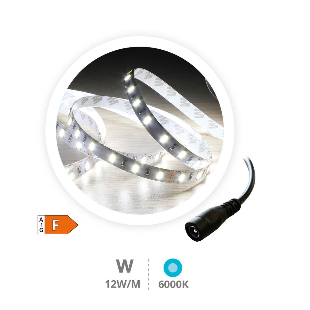 5M 12W/M LED strip 6000-6500K IP20 24V