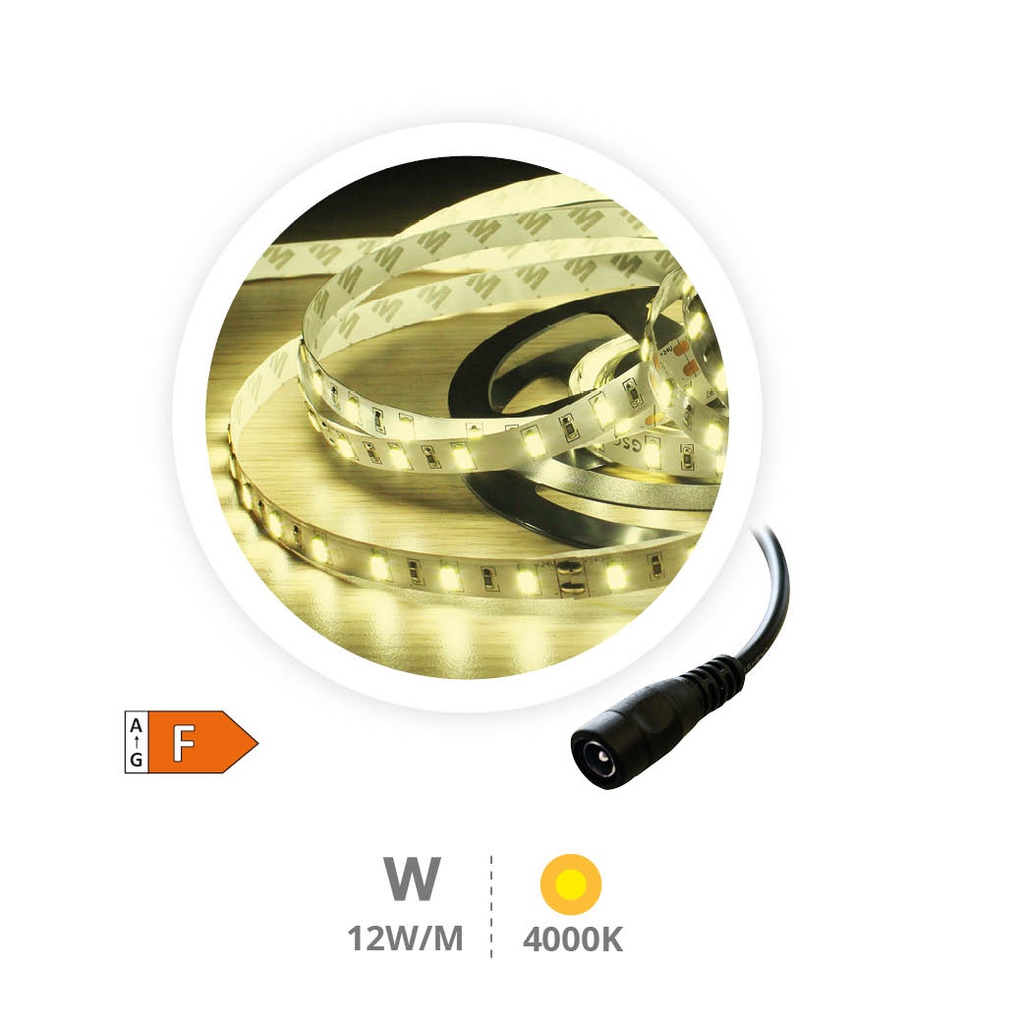 5M 12W/M LED strip 4000-4500K IP44 24V