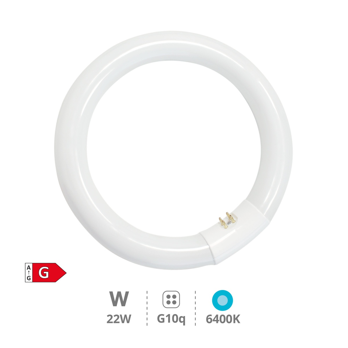 Tubo fluorescente circular T9 trifósforo 22 W G10q 6400 K