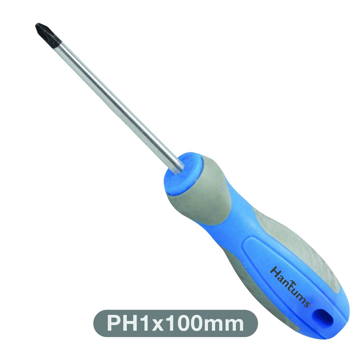 Tournevis Phillips Ph 1x100 mm