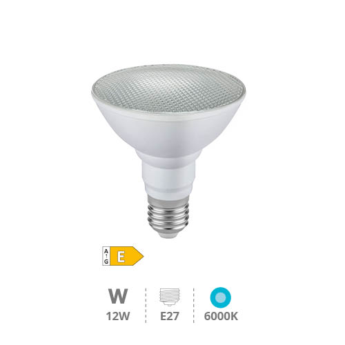 Ampoule LED PAR30 12 W E27 6000K IP65