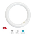 Circular T9 Triphosphor Fluorescent tube 32W G10q 6400K